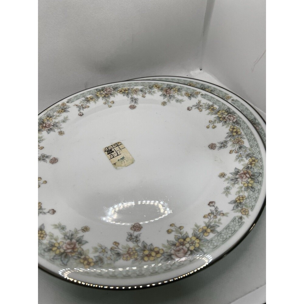 2 plates Noritake 2932 Spring Field Floral  Silver Rim Edge dinner dish 10"
